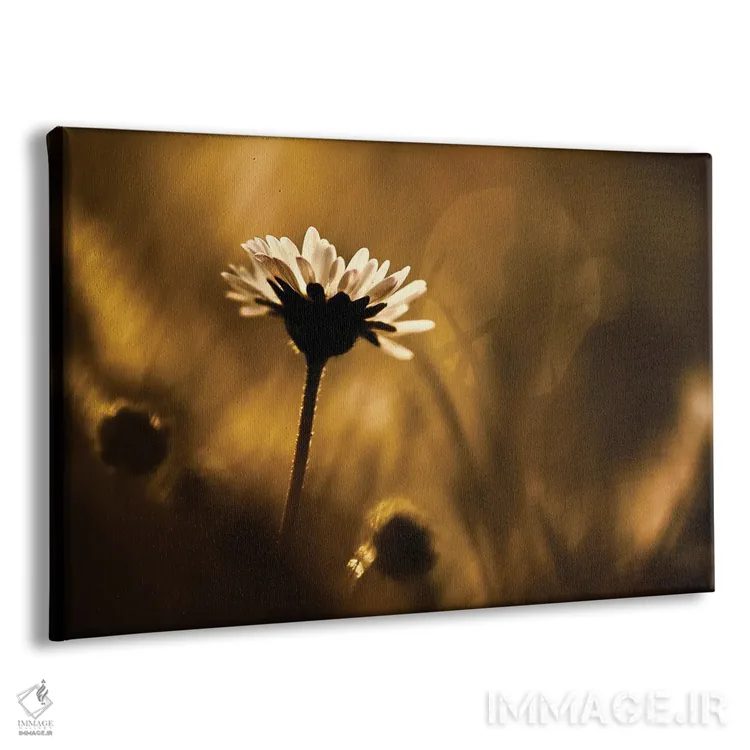 تابلو حس این لحظه اثر فابین براوین - نمای پرسپکتیو محصول