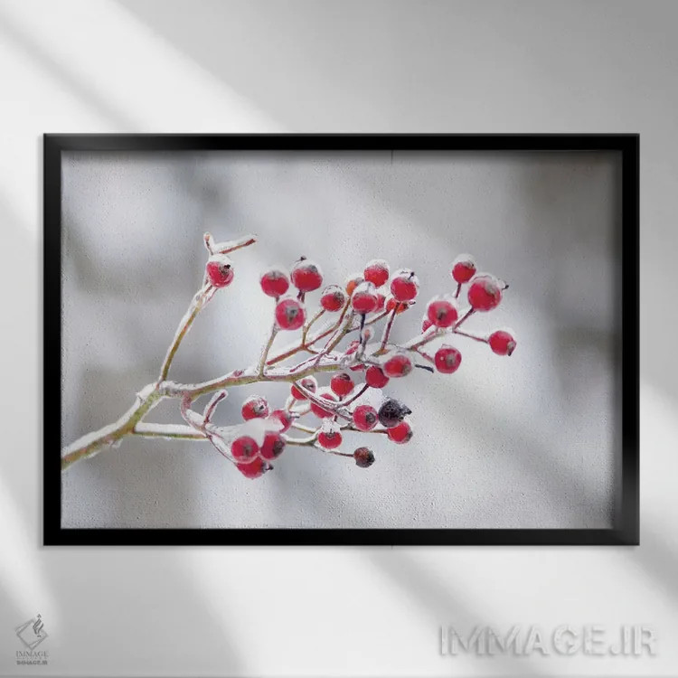 تابلو توتهای زمستانی یکم اثر فلیسیتی بردلی - نمای قابدار مشکی