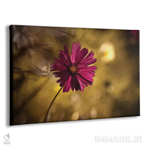 تابلو خانم (عنوان احترامآمیز) اثر فابین براوین - نمای پرسپکتیو محصول