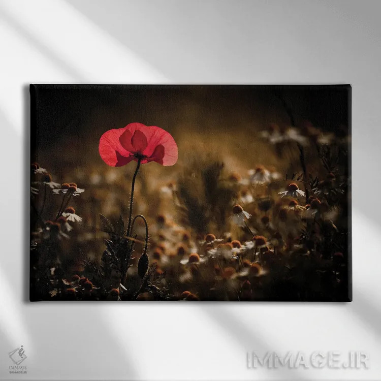 تابلو کمی گرما اثر فابین براوین - نمای روبهرو روی دیوار