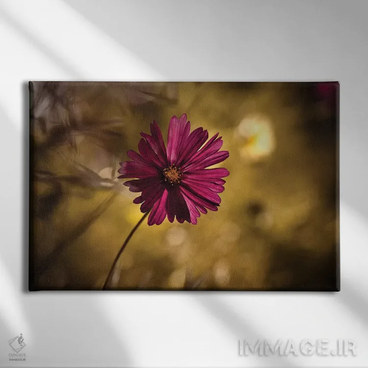 تابلو خانم (عنوان احترامآمیز) اثر فابین براوین - نمای روبهرو روی دیوار