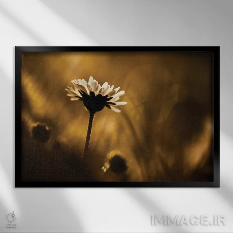 تابلو حس این لحظه اثر فابین براوین - نمای قابدار مشکی