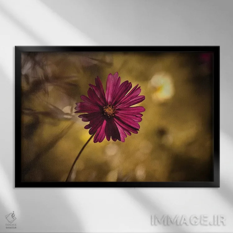 تابلو خانم (عنوان احترامآمیز) اثر فابین براوین - نمای قابدار مشکی