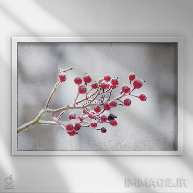 تابلو توتهای زمستانی یکم اثر فلیسیتی بردلی - نمای قابدار سفید