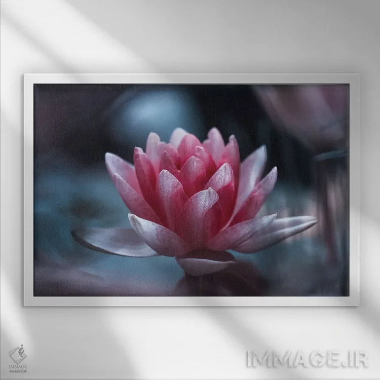 تابلو پیشنهاد اثر فابین براوین - نمای قابدار سفید