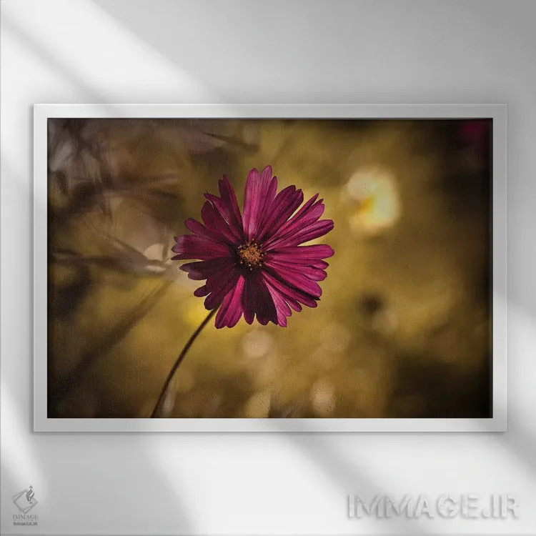 تابلو خانم (عنوان احترامآمیز) اثر فابین براوین - نمای قابدار سفید