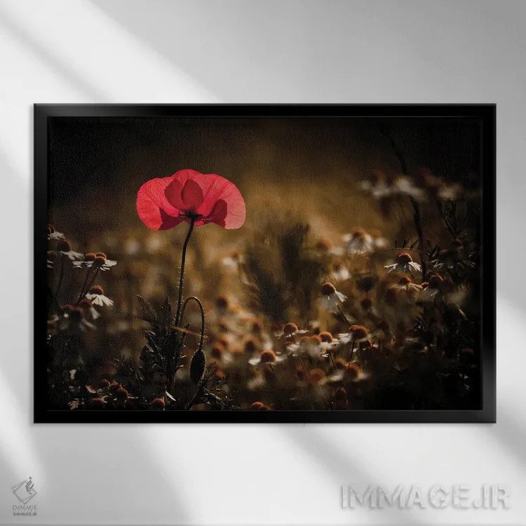 تابلو کمی گرما اثر فابین براوین - نمای قابدار مشکی