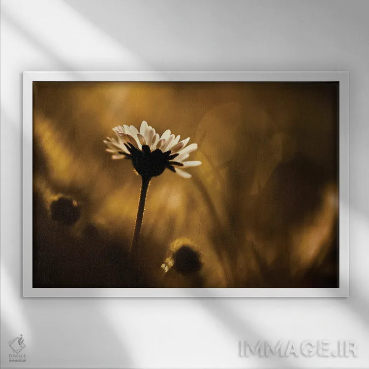 تابلو حس این لحظه اثر فابین براوین - نمای قابدار سفید