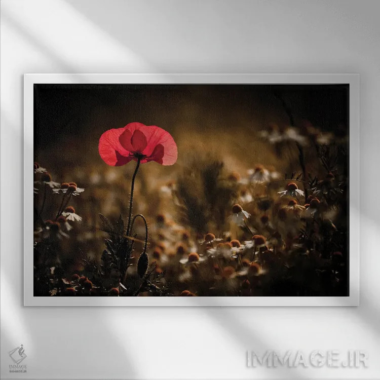 تابلو کمی گرما اثر فابین براوین - نمای قابدار سفید