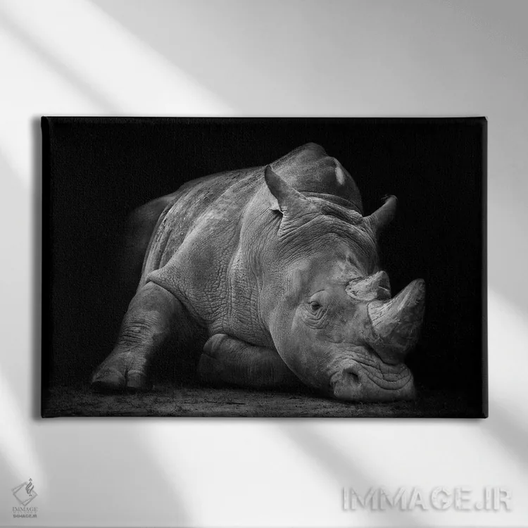 تابلو شکستخورده اثر فگاری - نمای روبهرو روی دیوار