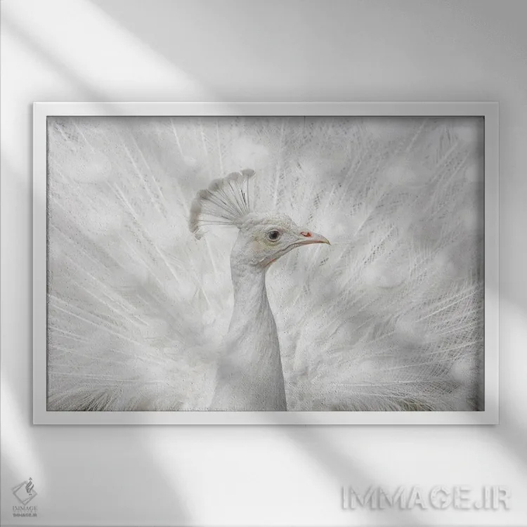 تابلو بیعیب و نقص اثر فگاری - نمای قابدار سفید