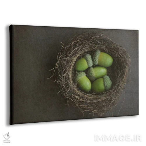 تابلو بلوطها در لانه اثر آلیسون فنل - نمای پرسپکتیو محصول