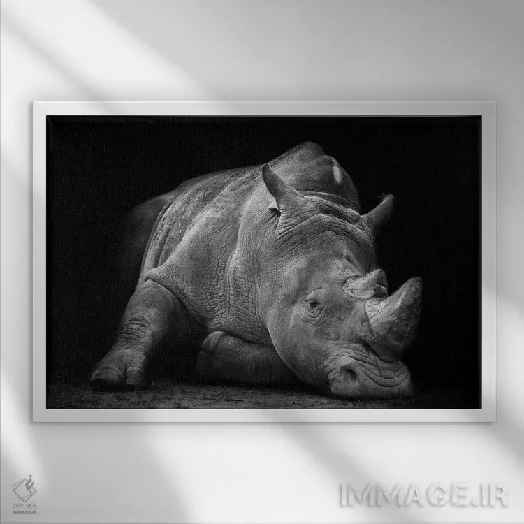 تابلو شکستخورده اثر فگاری - نمای قابدار سفید