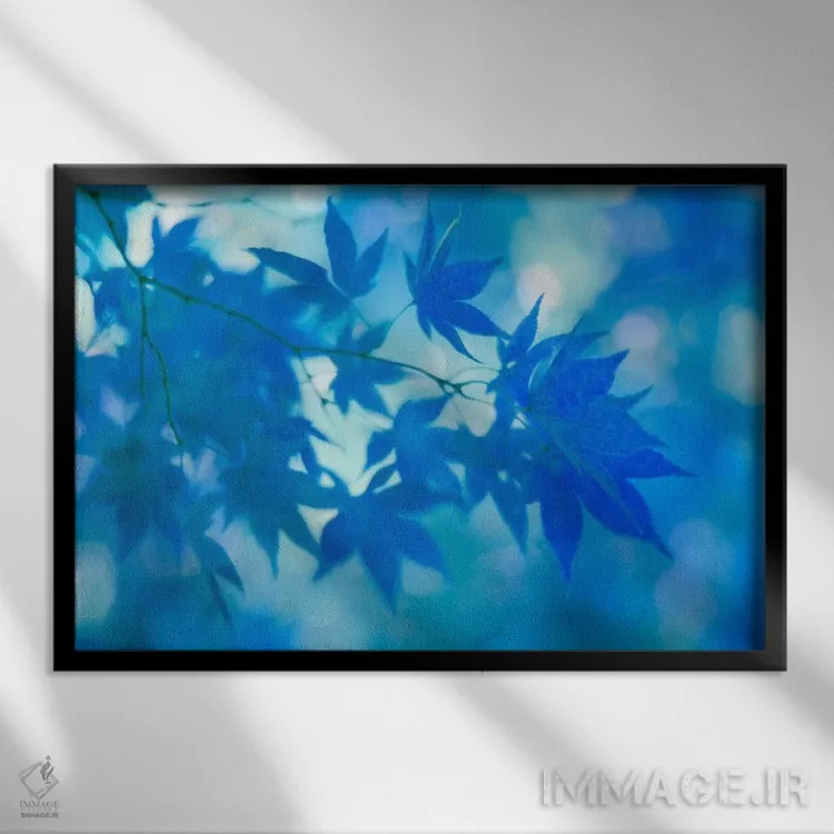تابلو برگهای افرا ژاپنی آبی اثر آلیسون فنل - نمای قابدار مشکی