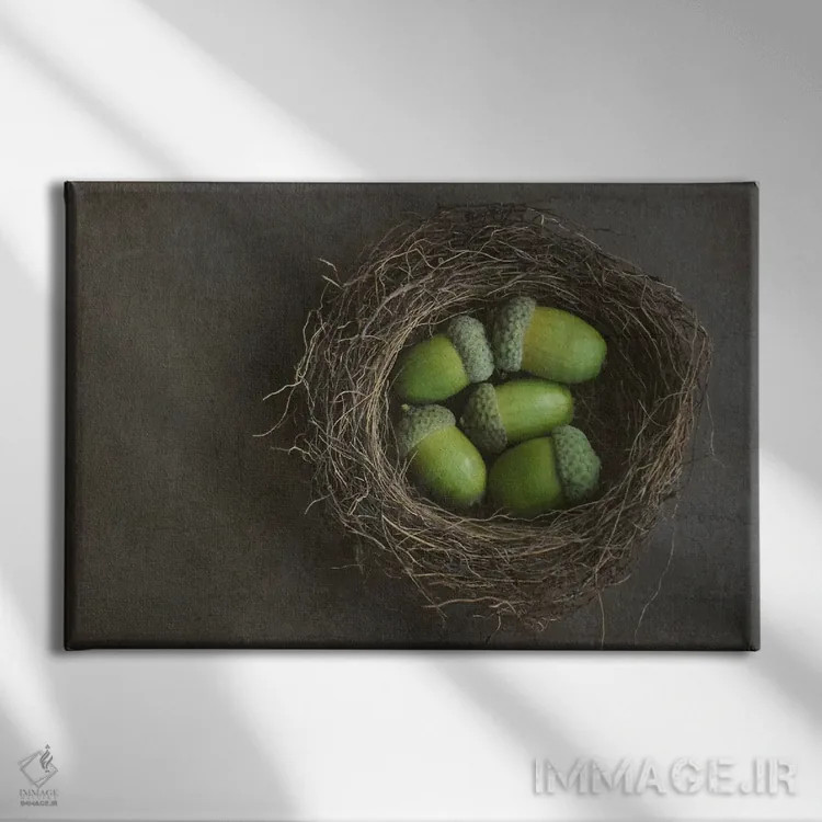 تابلو بلوطها در لانه اثر آلیسون فنل - نمای روبهرو روی دیوار