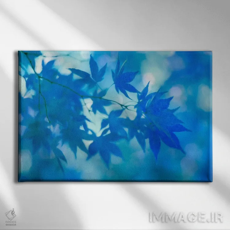 تابلو برگهای افرا ژاپنی آبی اثر آلیسون فنل - نمای روبهرو روی دیوار