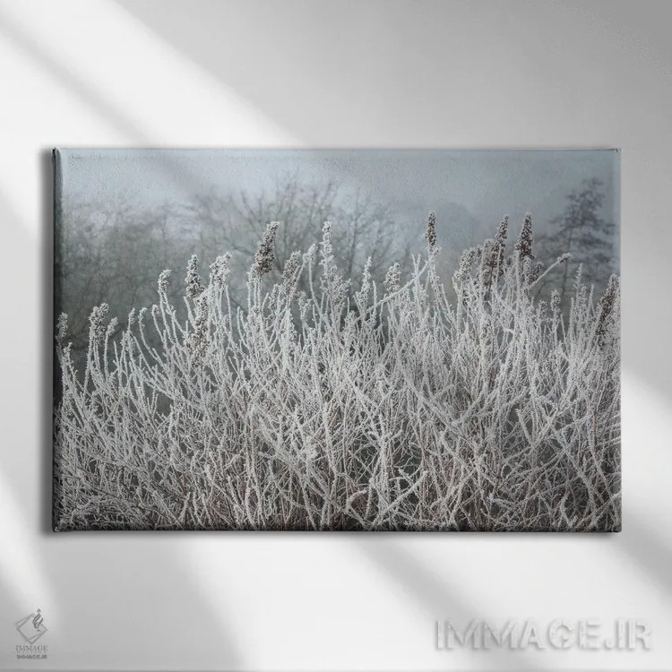 تابلو علفهای صبحگاهی یخزده اثر آلیسون فنل - نمای روبهرو روی دیوار