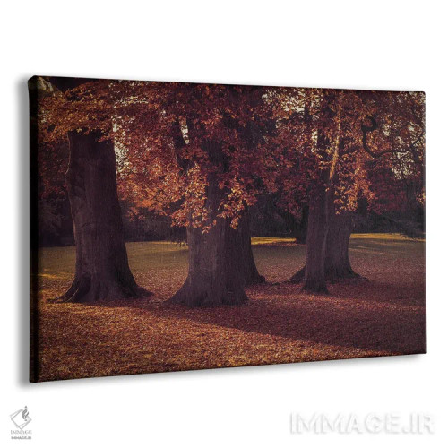 تابلو سه درخت پاییزی اثر آلیسون فنل - نمای پرسپکتیو محصول