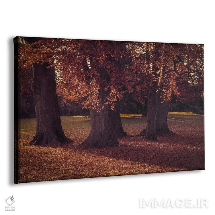 تابلو سه درخت پاییزی اثر آلیسون فنل - نمای پرسپکتیو محصول