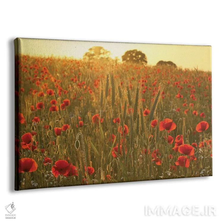 تابلو چمنزار شقایق تابستانی اثر آلیسون فنل - نمای پرسپکتیو محصول