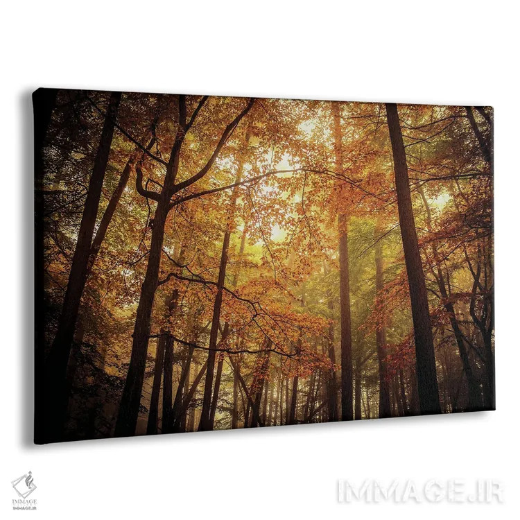 تابلو درختان راش مهآلود پاییزی اثر آلیسون فنل - نمای پرسپکتیو محصول