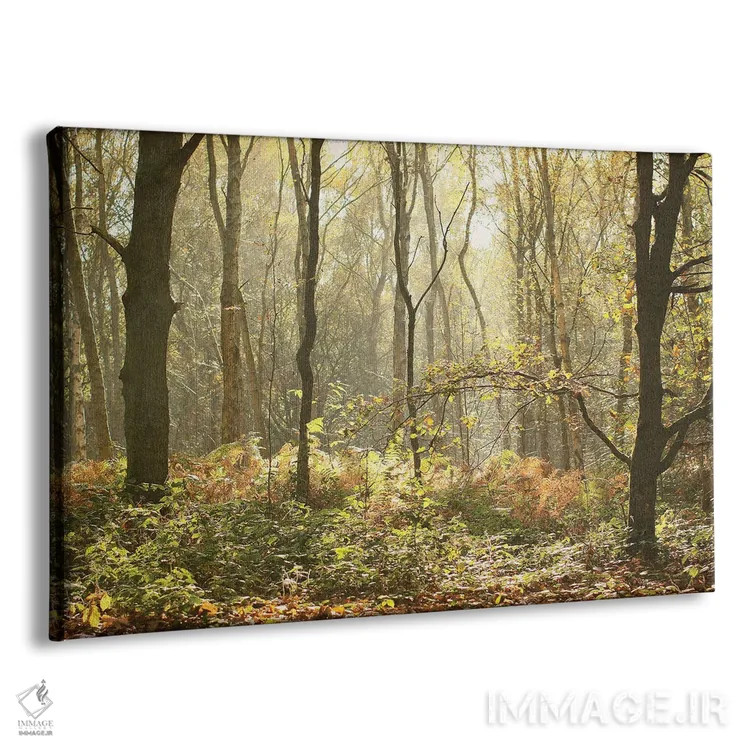 تابلو جنگل صبحگاهی پاییز اثر آلیسون فنل - نمای پرسپکتیو محصول