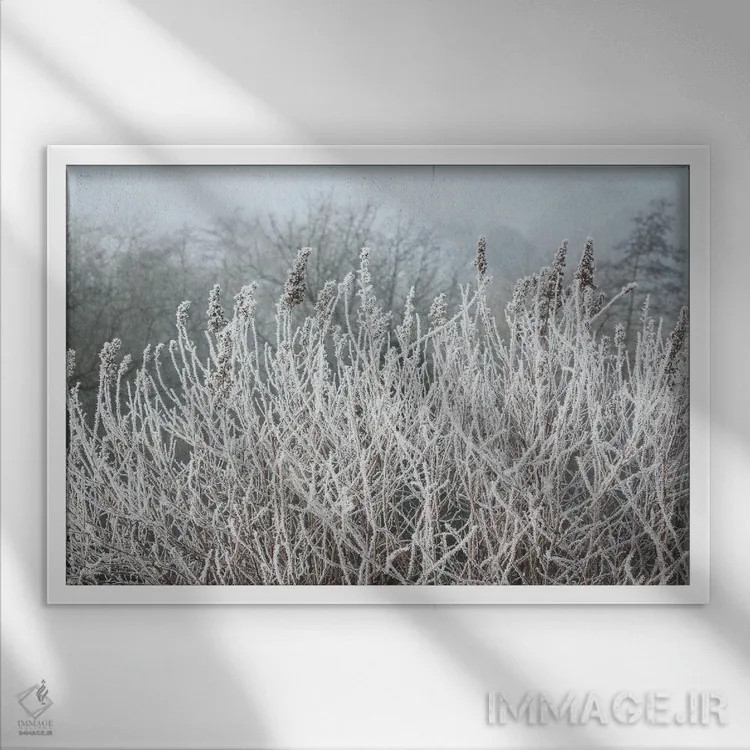 تابلو علفهای صبحگاهی یخزده اثر آلیسون فنل - نمای قابدار سفید
