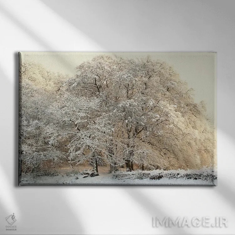 تابلو درختان زمستانی پوشیده از برف اثر آلیسون فنل - نمای روبهرو روی دیوار