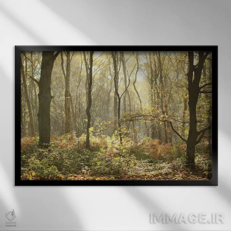 تابلو جنگل صبحگاهی پاییز اثر آلیسون فنل - نمای قابدار مشکی