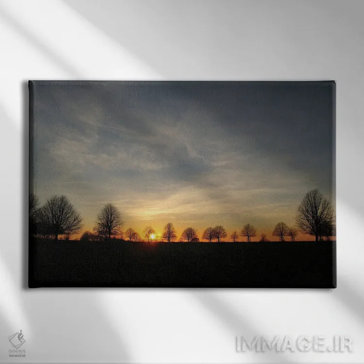 تابلو غروب درختان زمستانی اثر آلیسون فنل - نمای روبهرو روی دیوار