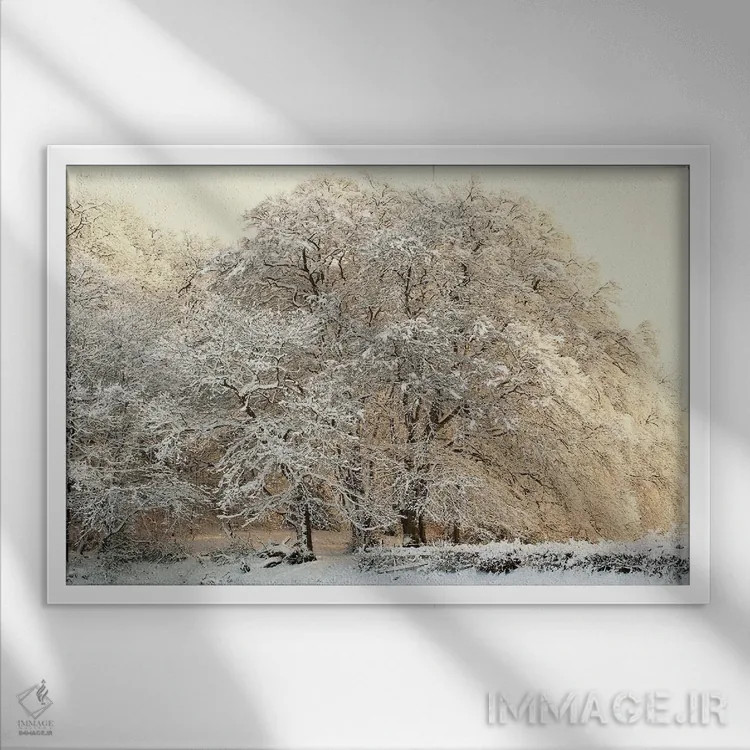 تابلو درختان زمستانی پوشیده از برف اثر آلیسون فنل - نمای قابدار سفید