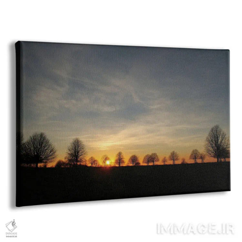 تابلو غروب درختان زمستانی اثر آلیسون فنل - نمای پرسپکتیو محصول