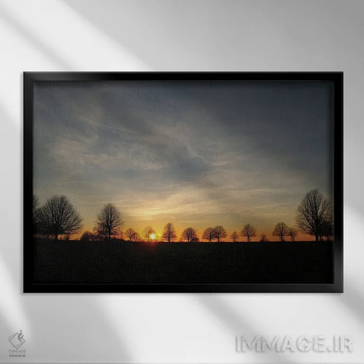 تابلو غروب درختان زمستانی اثر آلیسون فنل - نمای قابدار مشکی