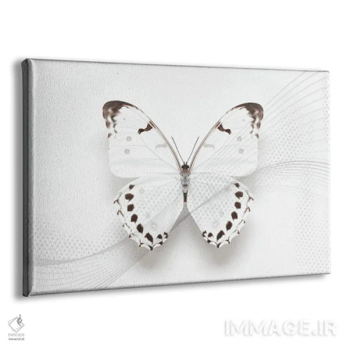 تابلو چرخش پروانهٔ مورفو سفید اثر آلیسون فنل - نمای پرسپکتیو محصول