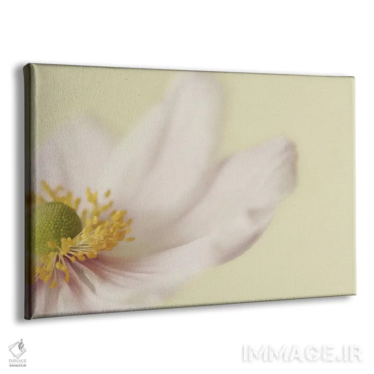 تابلو شقایق ژاپنی اثر آلیسون فنل - نمای پرسپکتیو محصول