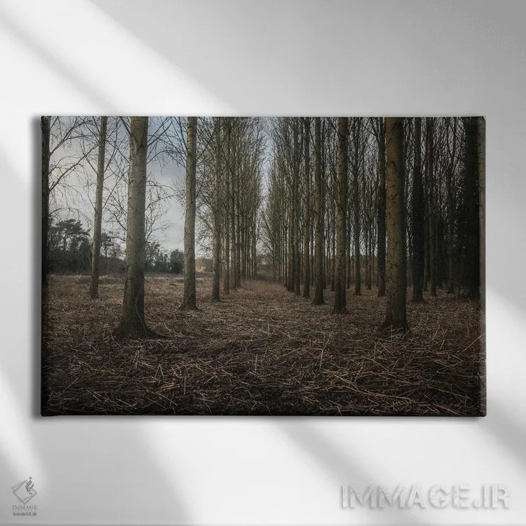 تابلو خیابان زمستانی با درختان اثر آلیسون فنل - نمای روبهرو روی دیوار