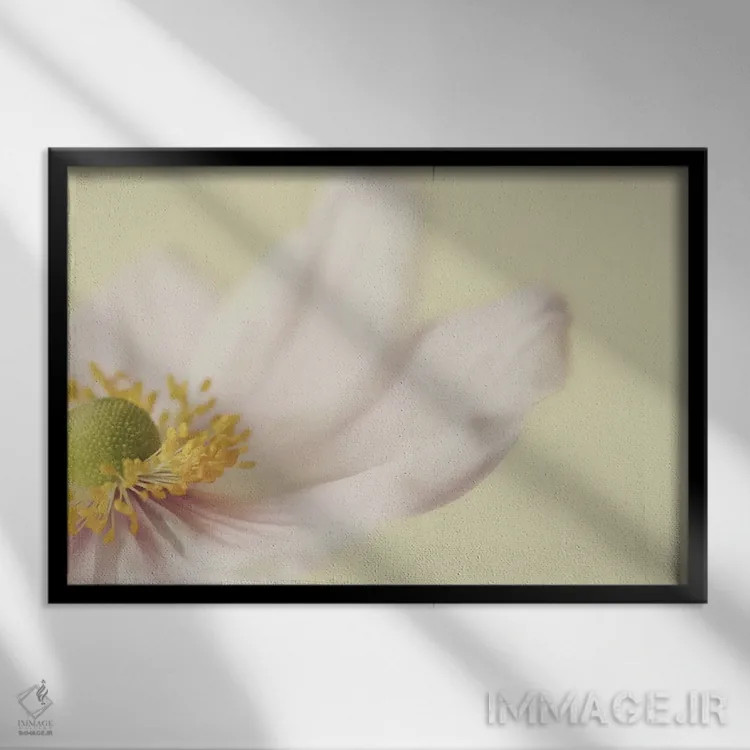 تابلو شقایق ژاپنی اثر آلیسون فنل - نمای قابدار مشکی