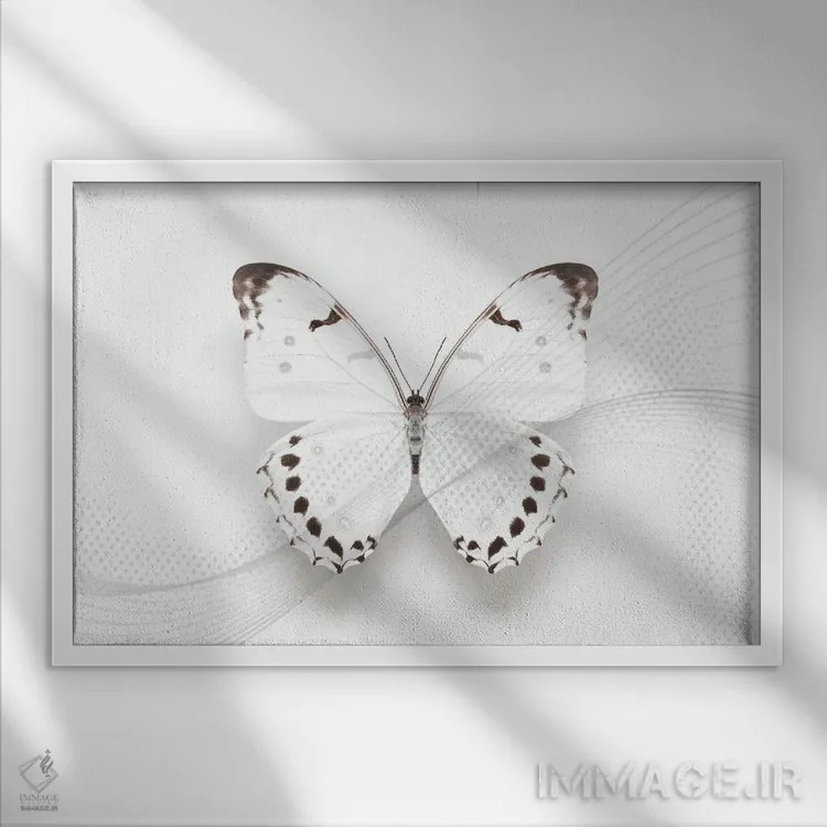 تابلو چرخش پروانهٔ مورفو سفید اثر آلیسون فنل - نمای قابدار سفید
