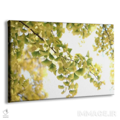 تابلو جینکو بیلوبا طلایی اثر آلیسون فنل - نمای پرسپکتیو محصول