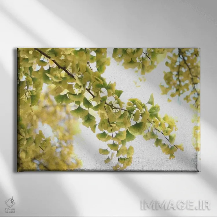 تابلو جینکو بیلوبا طلایی اثر آلیسون فنل - نمای روبهرو روی دیوار