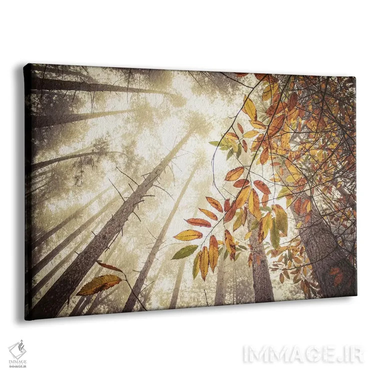 تابلو ارتفاعات مهآلود پاییزی اثر آلیسون فنل - نمای پرسپکتیو محصول