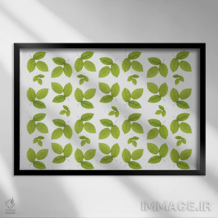 تابلو برگهای سنجد سبز اثر آلیسون فنل - نمای قابدار مشکی