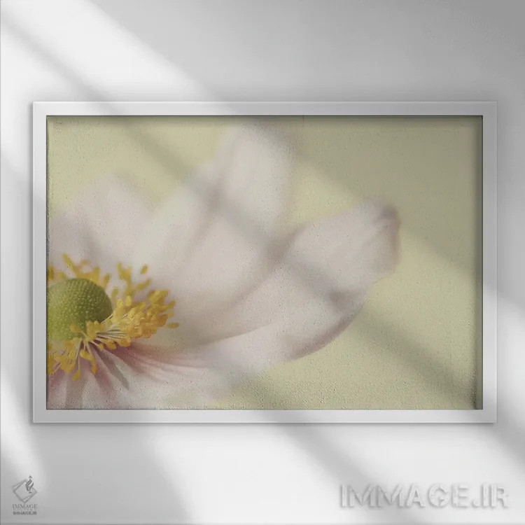 تابلو شقایق ژاپنی اثر آلیسون فنل - نمای قابدار سفید