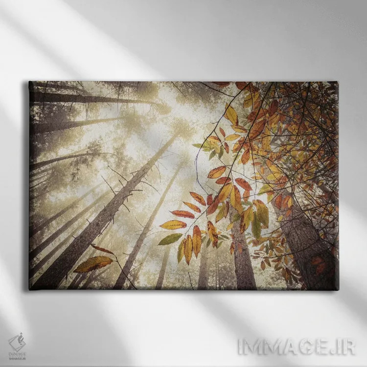 تابلو ارتفاعات مهآلود پاییزی اثر آلیسون فنل - نمای روبهرو روی دیوار