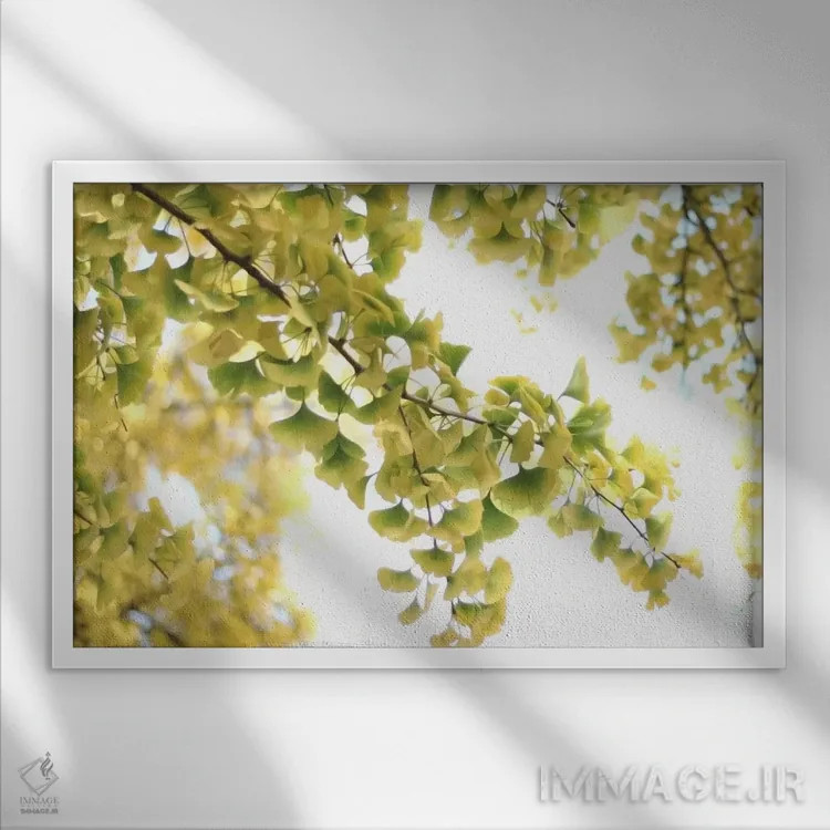 تابلو جینکو بیلوبا طلایی اثر آلیسون فنل - نمای قابدار سفید