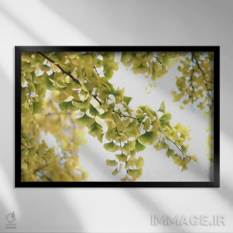 تابلو جینکو بیلوبا طلایی اثر آلیسون فنل - نمای قابدار مشکی