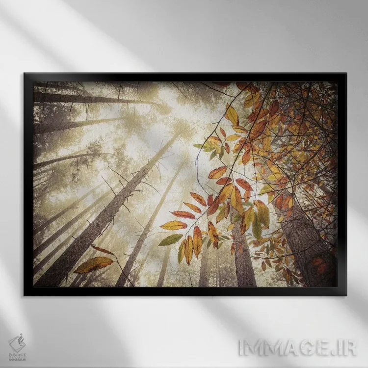 تابلو ارتفاعات مهآلود پاییزی اثر آلیسون فنل - نمای قابدار مشکی