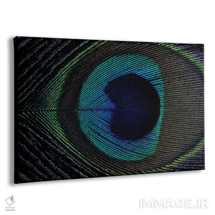 تابلو پر طاووس ۱ اثر آلیسون فنل - نمای پرسپکتیو محصول