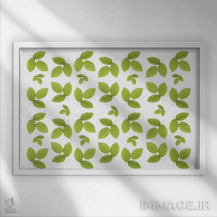 تابلو برگهای سنجد سبز اثر آلیسون فنل - نمای قابدار سفید