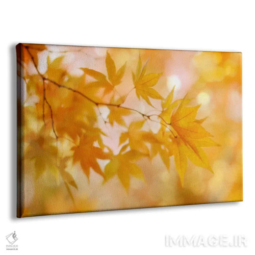 تابلو برگهای پاییزی هلوگون اثر آلیسون فنل - نمای پرسپکتیو محصول